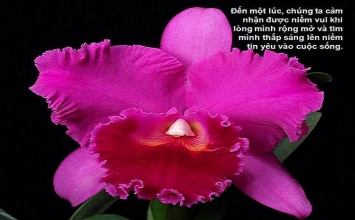 Làm chủ thân tâm